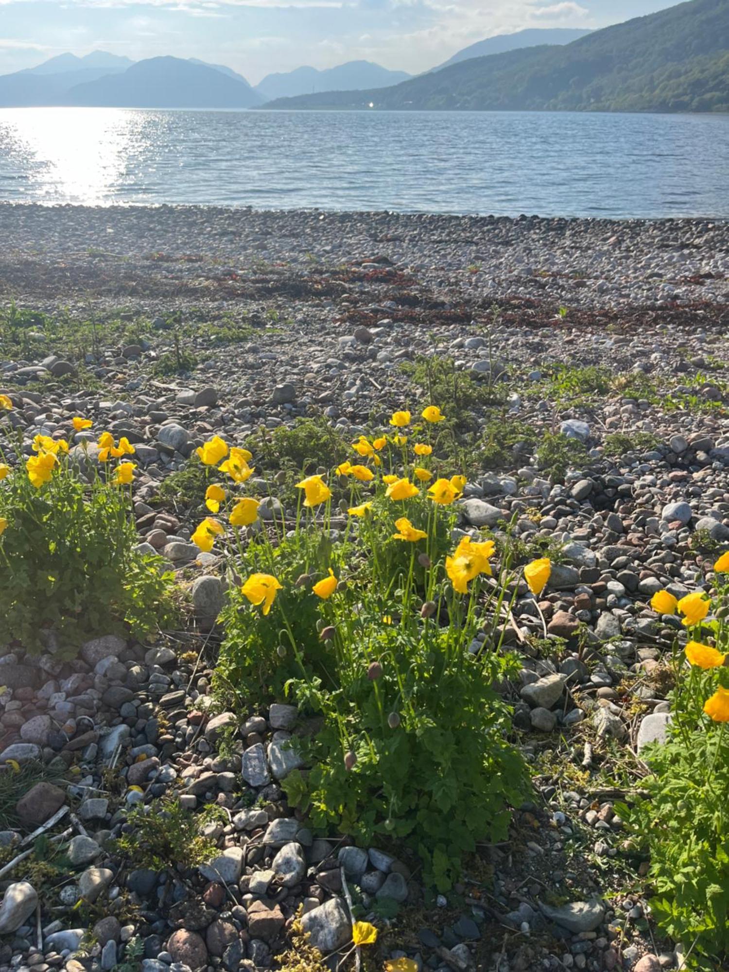 View Of The Mountain Διαμέρισμα North Ballachulish Εξωτερικό φωτογραφία