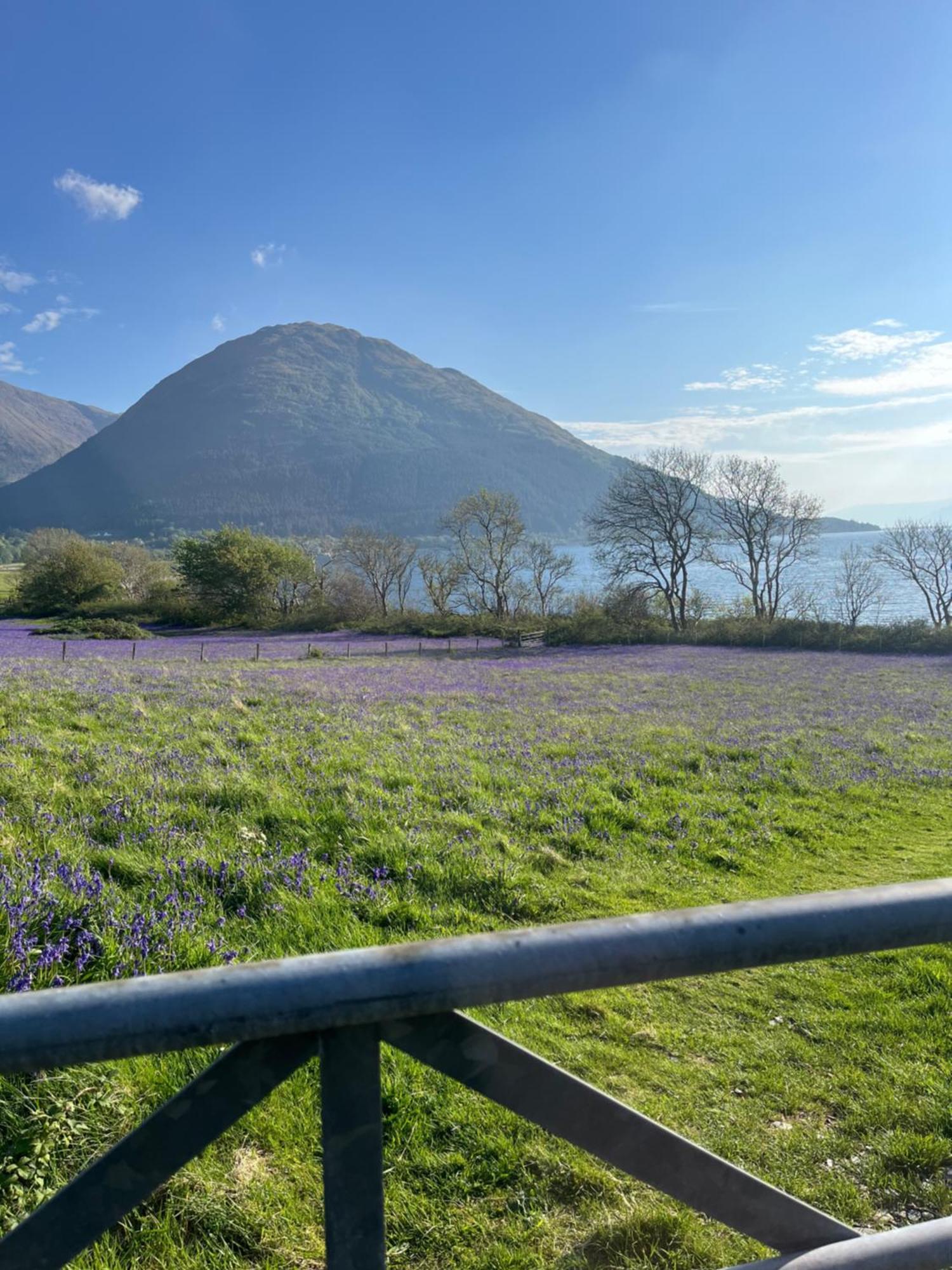 View Of The Mountain Διαμέρισμα North Ballachulish Εξωτερικό φωτογραφία